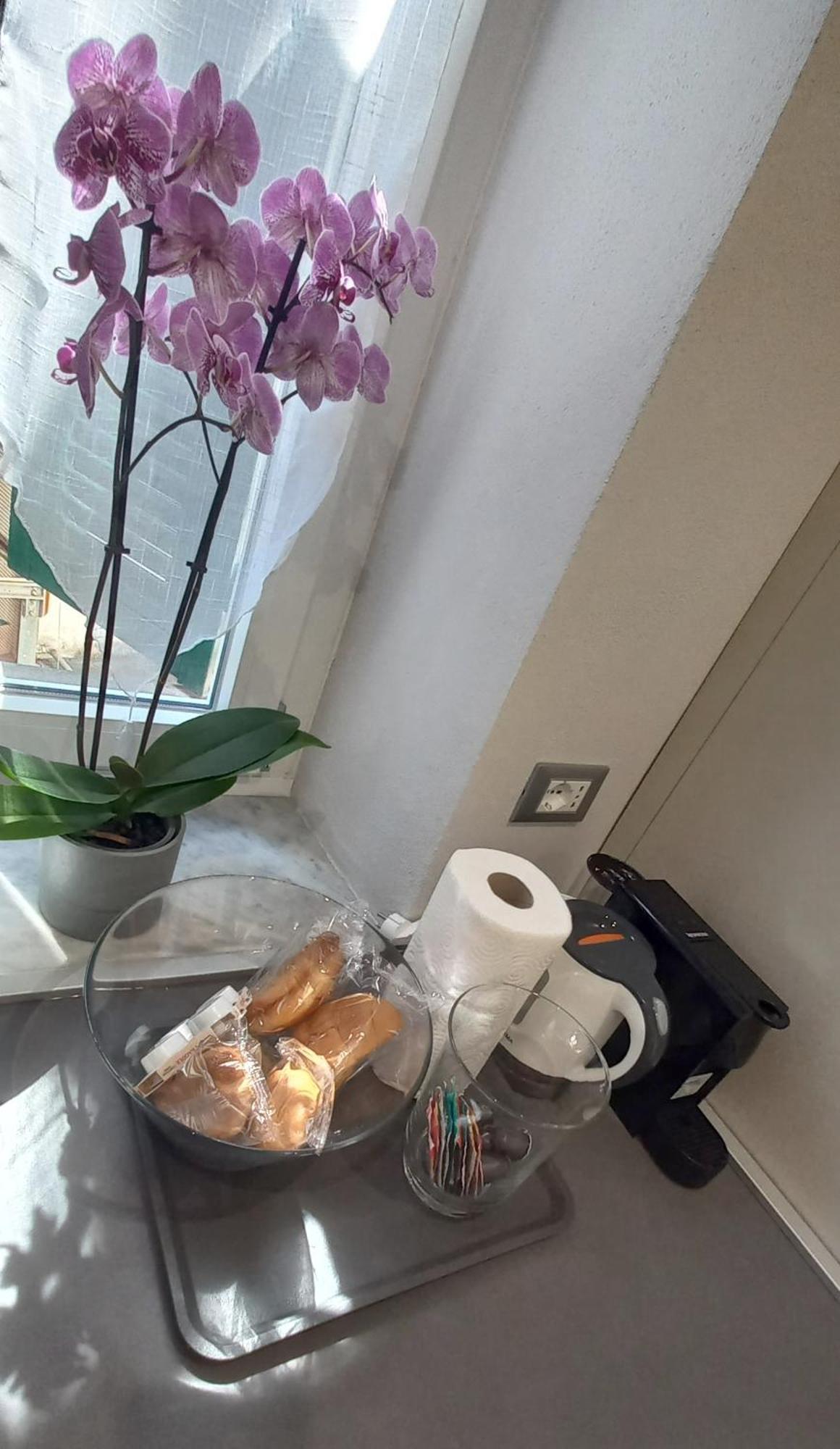 Apartment Baxeico Old Town Parking Free *